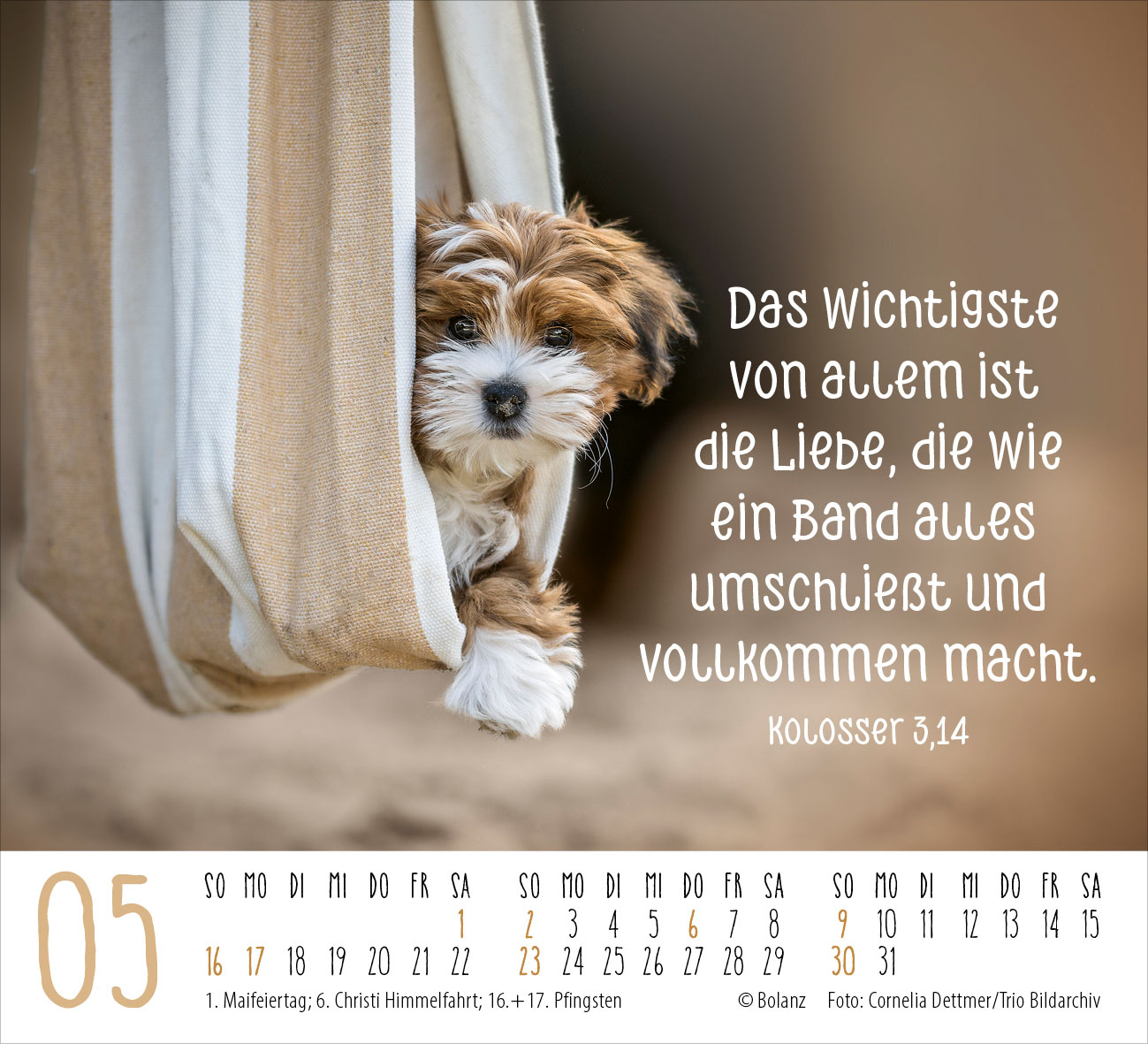 Begegnungen – dich vergess ich nie 2027 – Minikalender