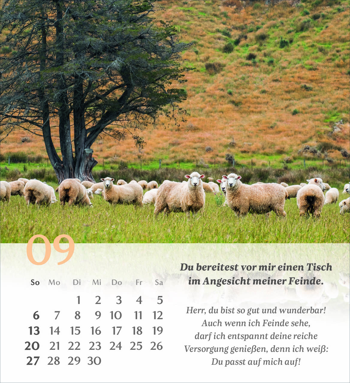 Psalm 23 Tischkalender 2026