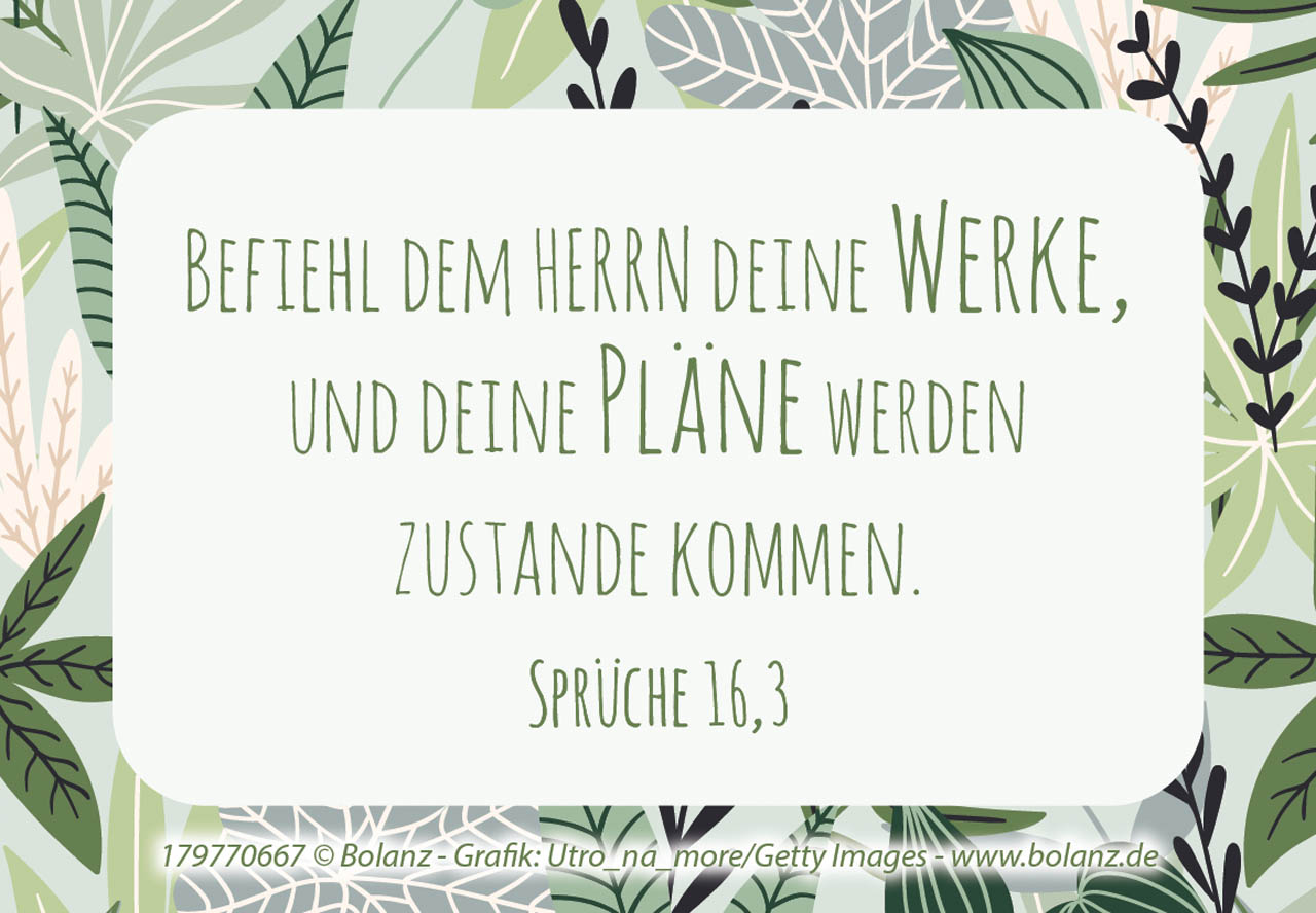 Neujahrslose Pure Lebensfreude