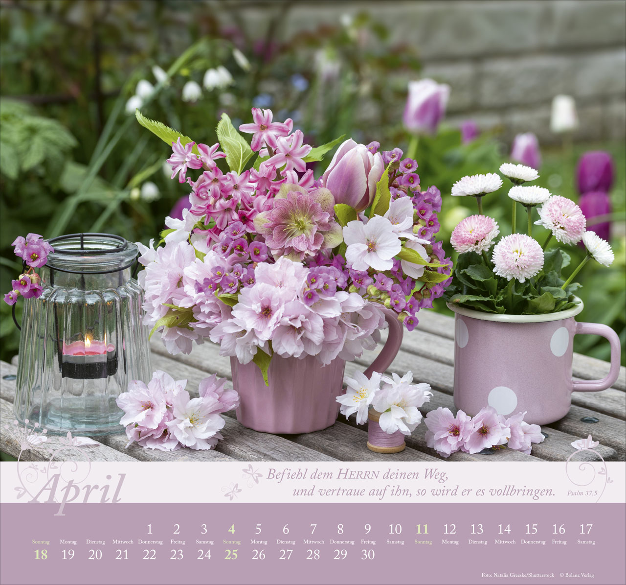 Im Garten zuhause 2027 – Wandkalender
