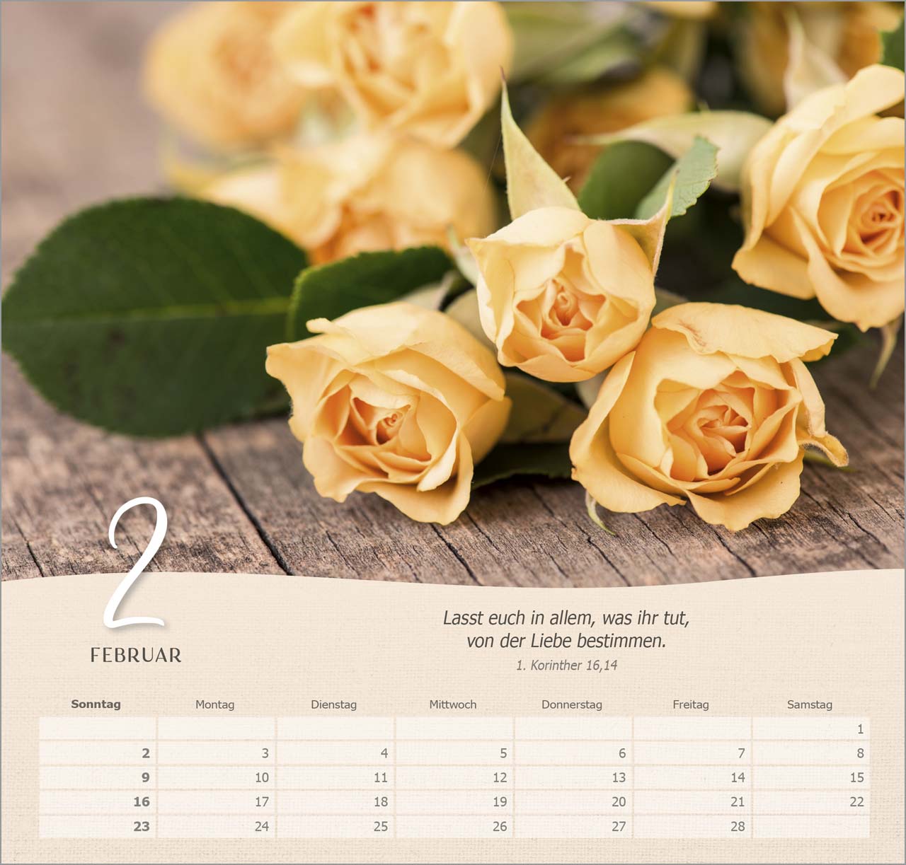 Rosen Wandkalender