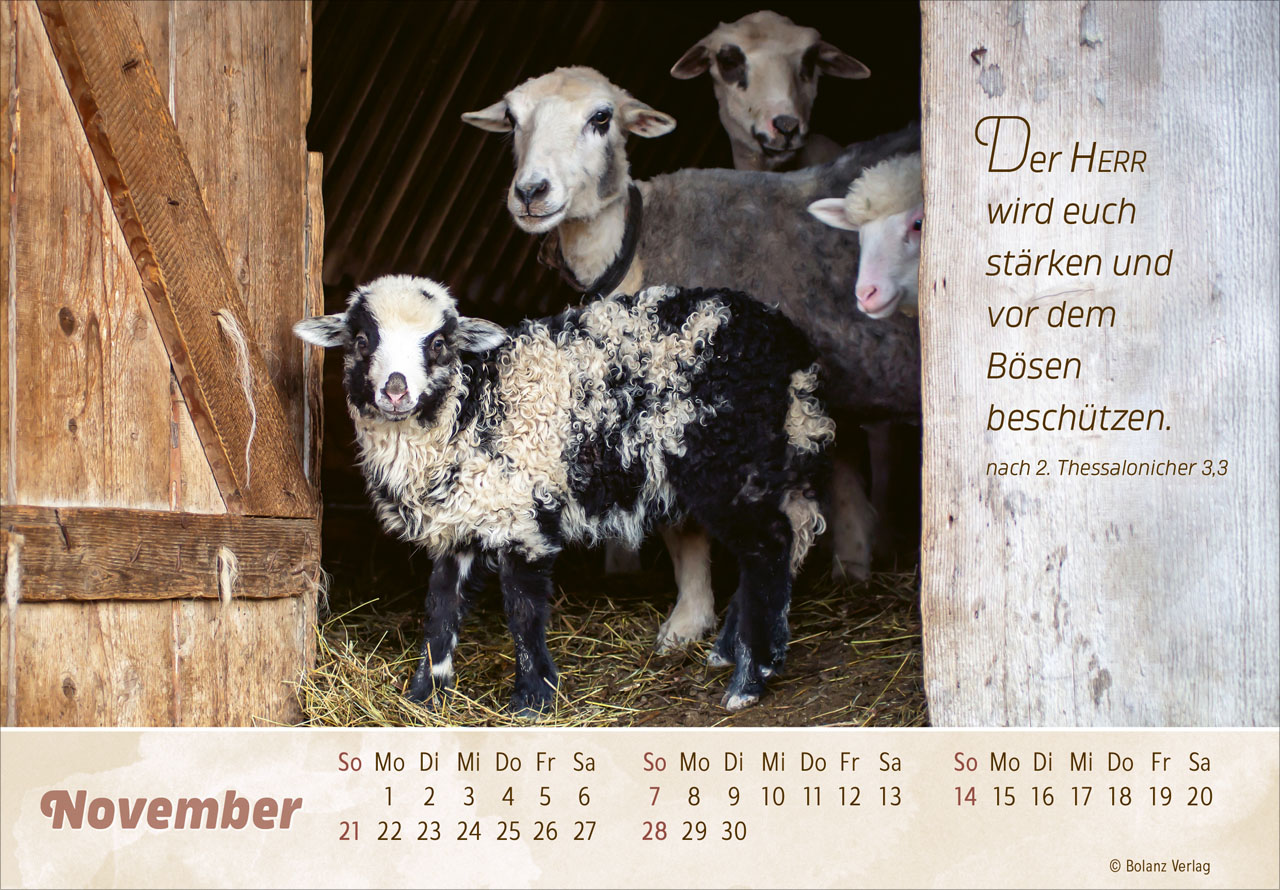 Der Gute Hirte 2027 – Panoramakalender