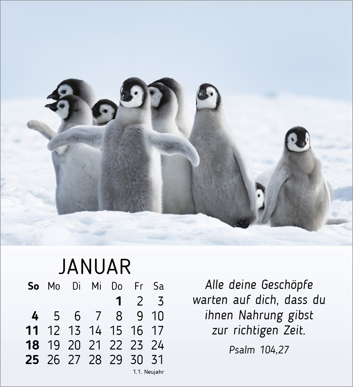 Meine kleinen Freunde 2026 - Tischkalender Meine kleinen Freunde 2026 - Tischkalender