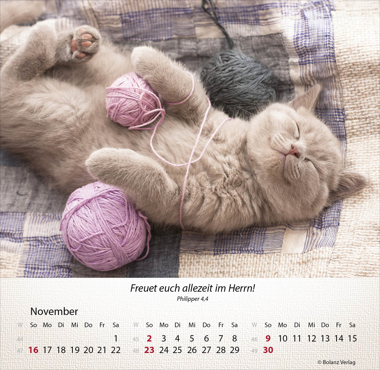 Katzen 2025 - Tischkalender