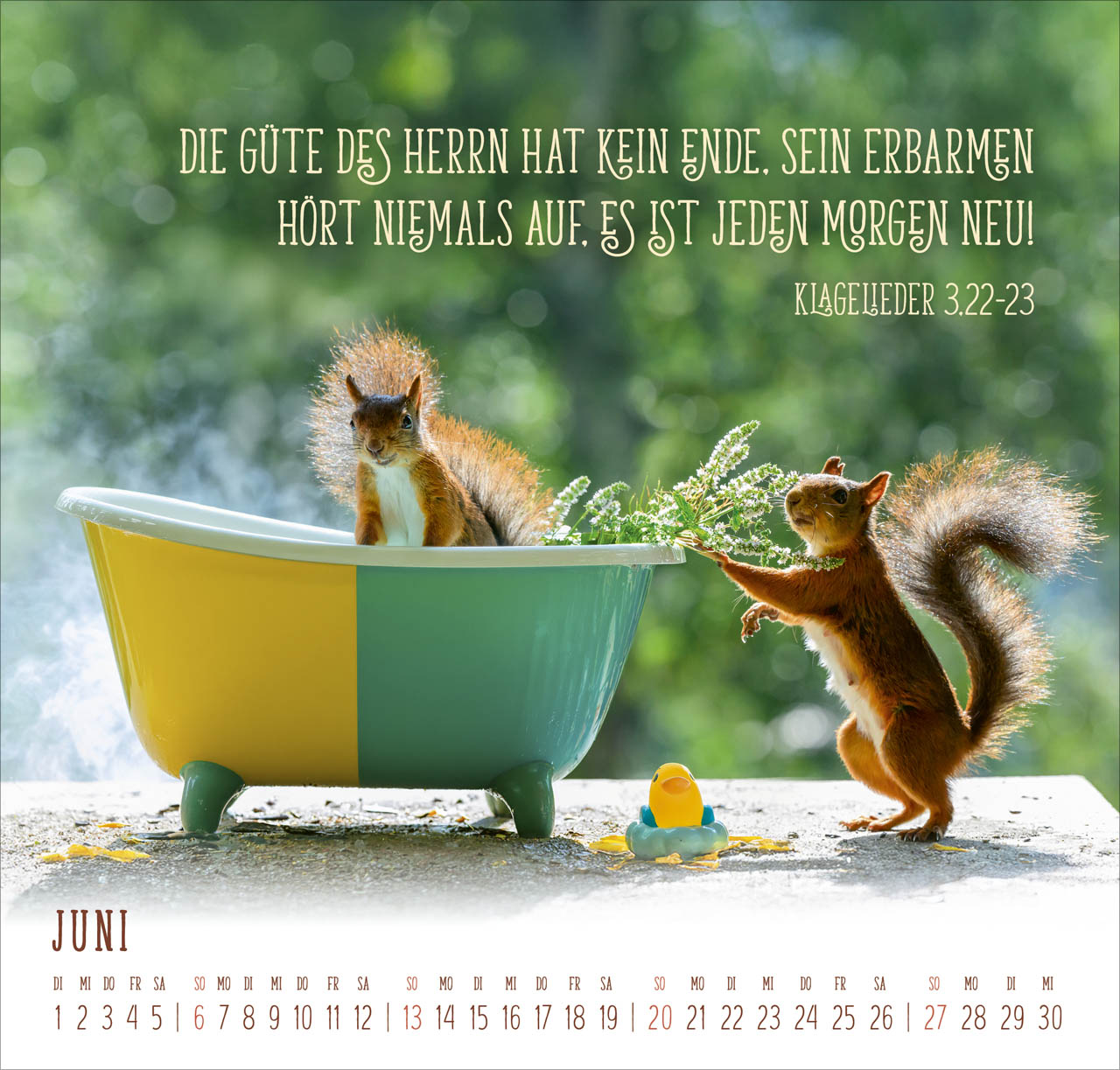 Du machst mich froh 2027 – Wandkalender