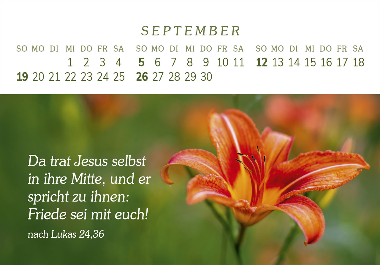Das Geschenk der Freude 2027 – Panorama-Tischkalender