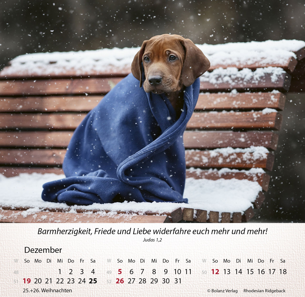 Hunde 2027 – Tischkalender