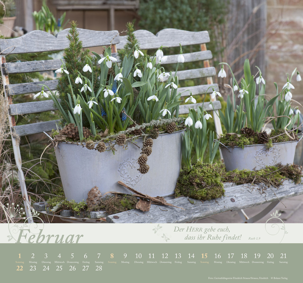 Im Garten zuhause 2026 - Wandkalender