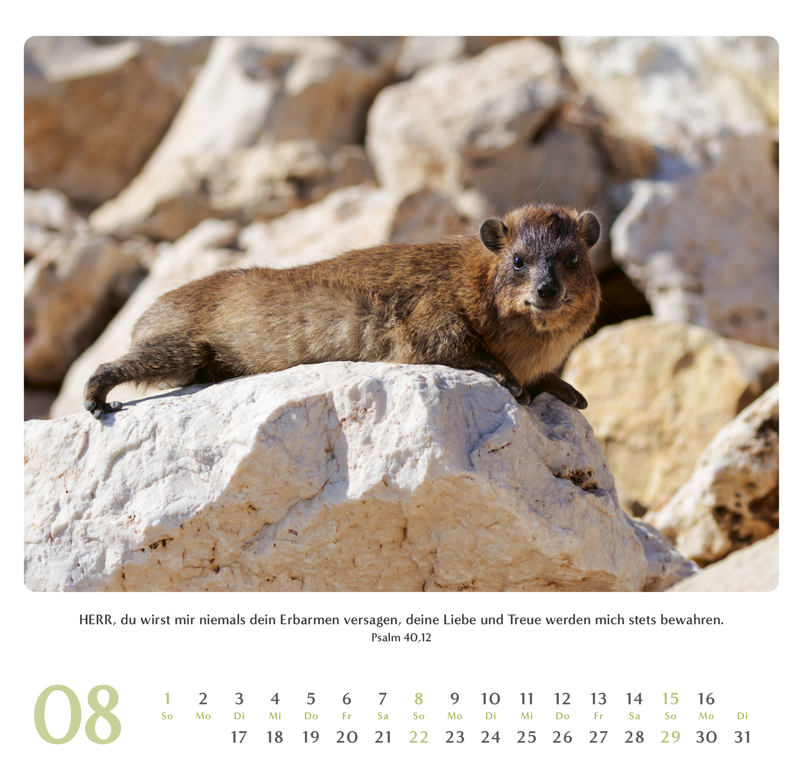 Geliebtes Israel 2027 – Wandkalender