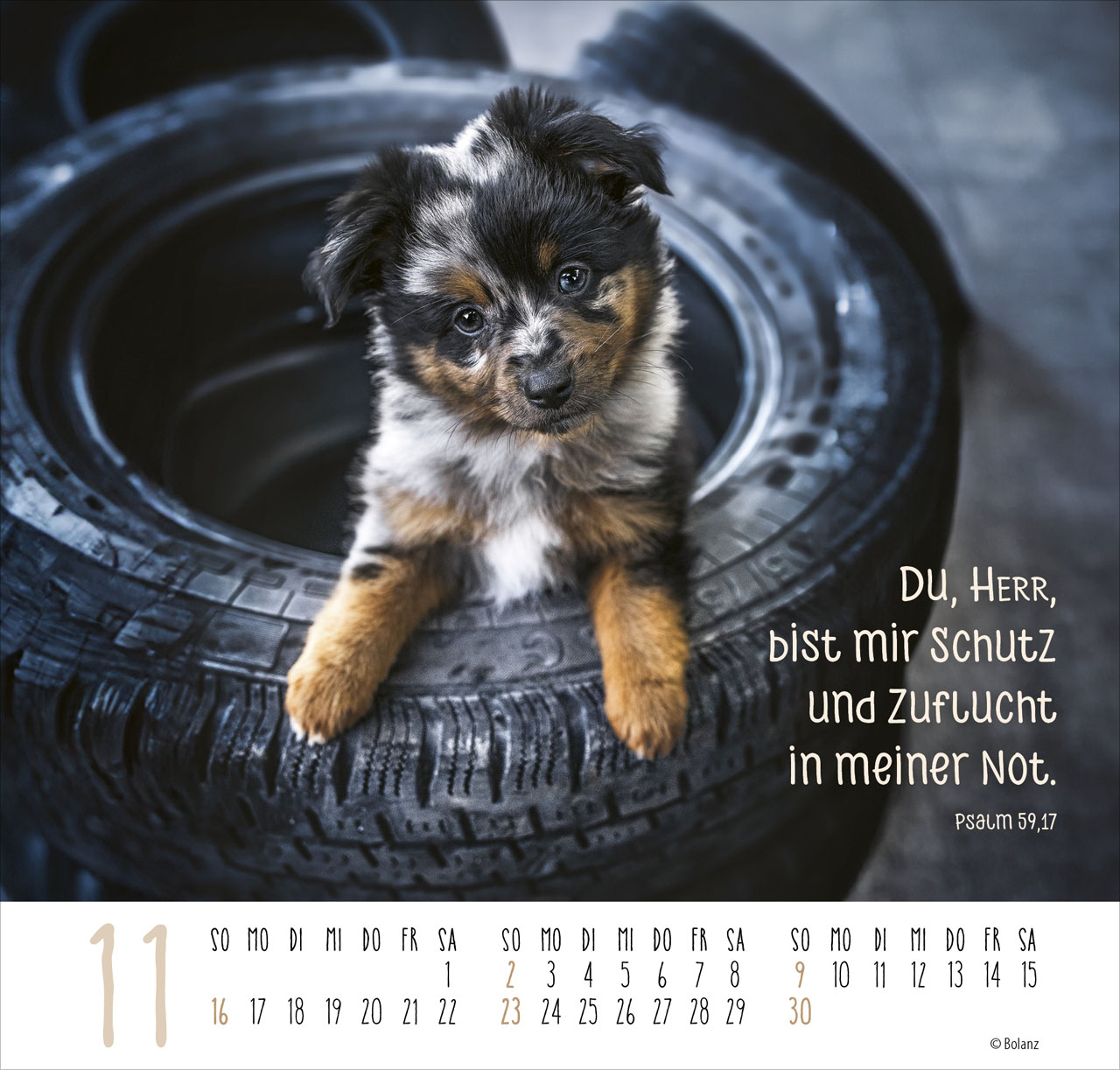 Beste Freunde - Ich mag dich 2025 - Posterkalender