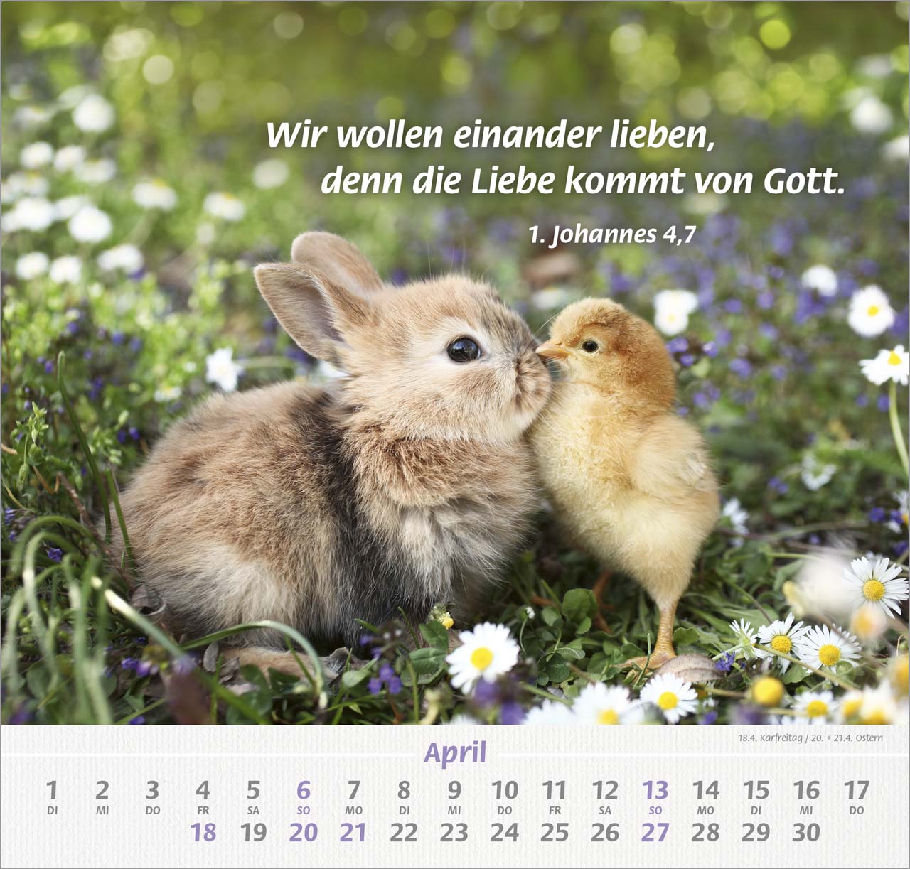 Ich hab dich gern Wandkalender