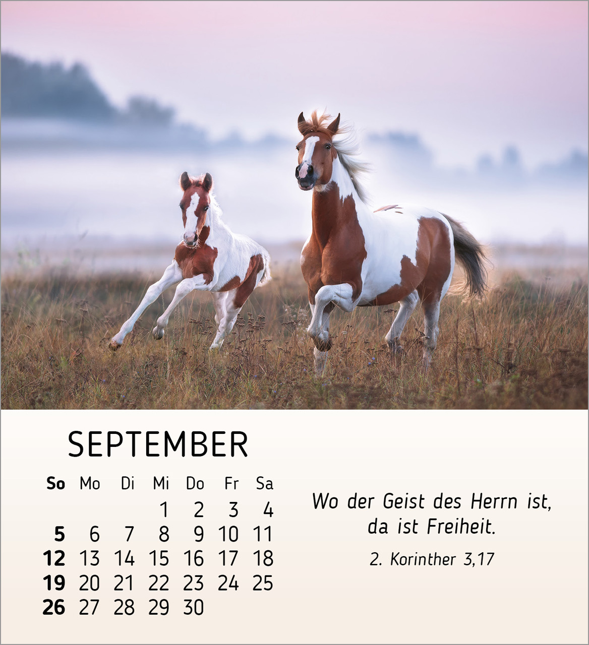 Meine kleinen Freunde 2027 – Tischkalender