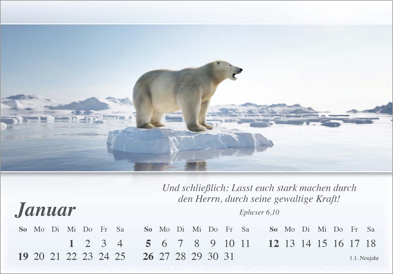 Mini Panorama Kalender