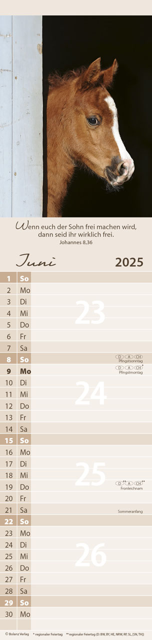 Für Euch 2025 - Streifenterminplaner