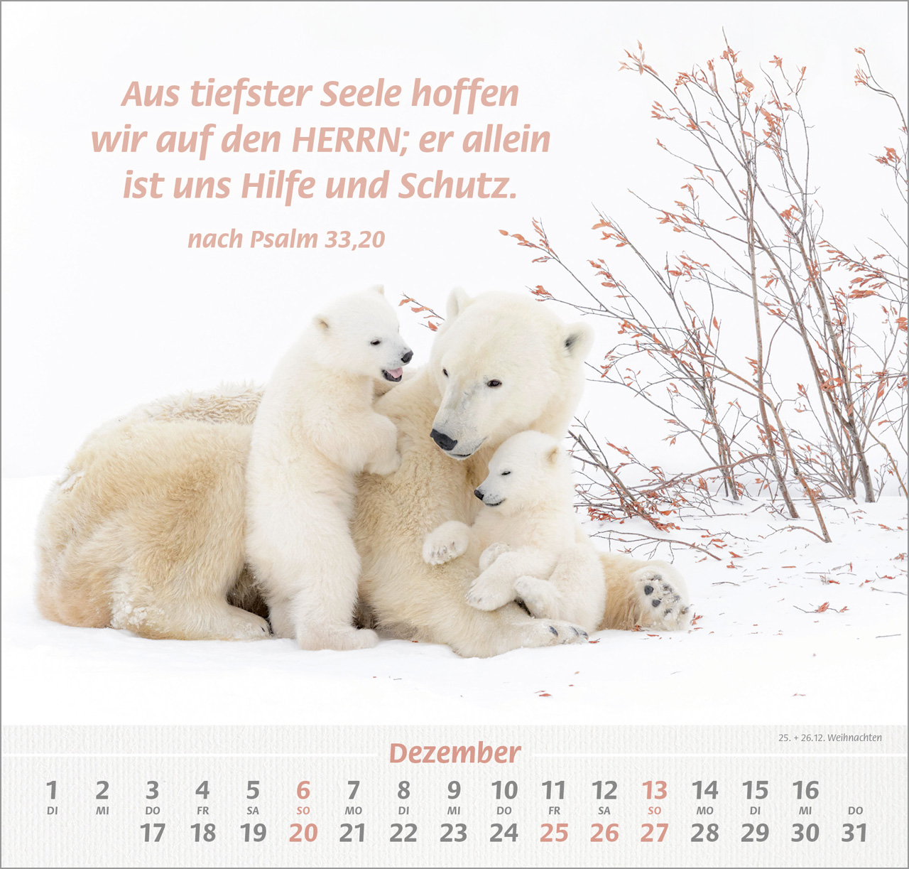 Ich hab dich gern Wandkalender 2026