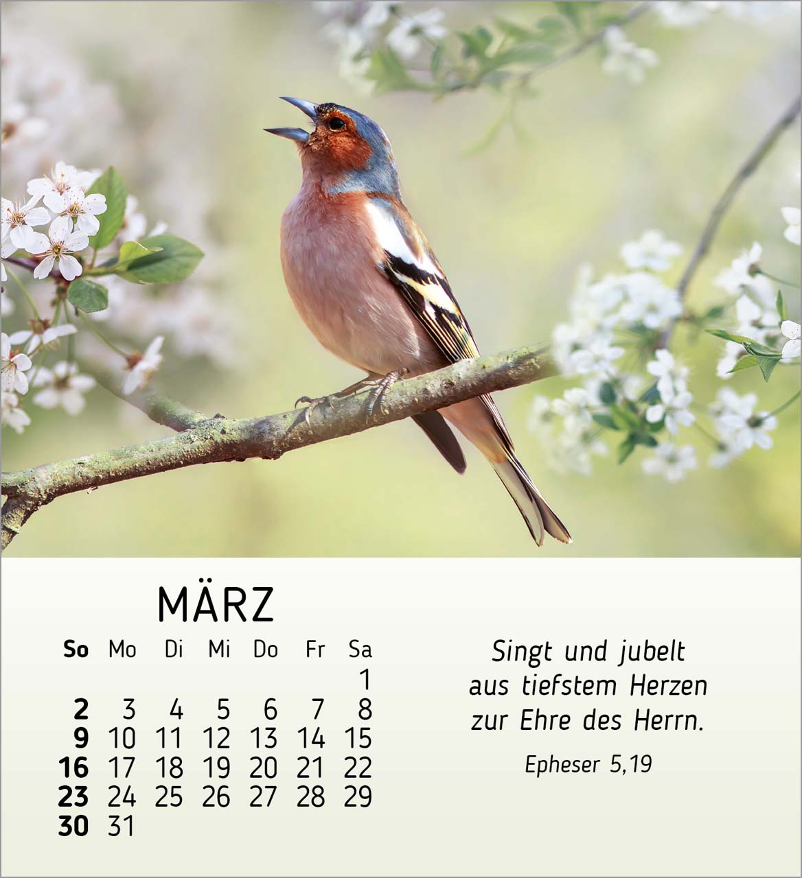 Stille Begegnungen Tischkalender