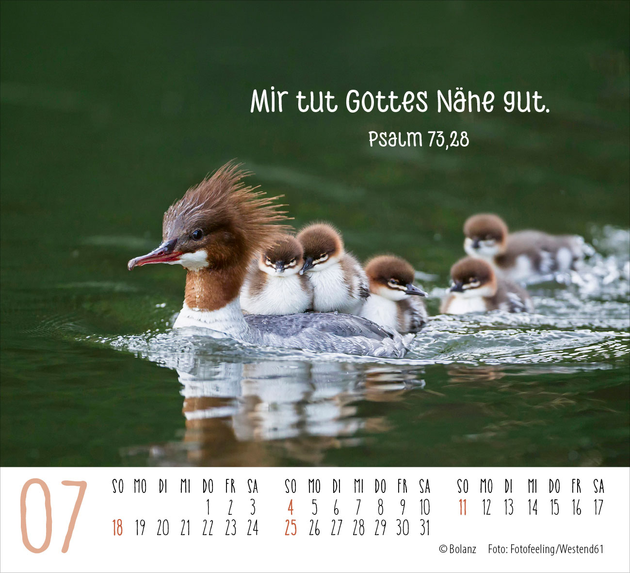 Begegnungen – dich vergess ich nie 2027 – Minikalender