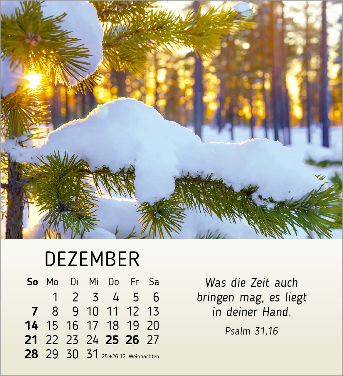 Schönheit des Lichts Tischkalender