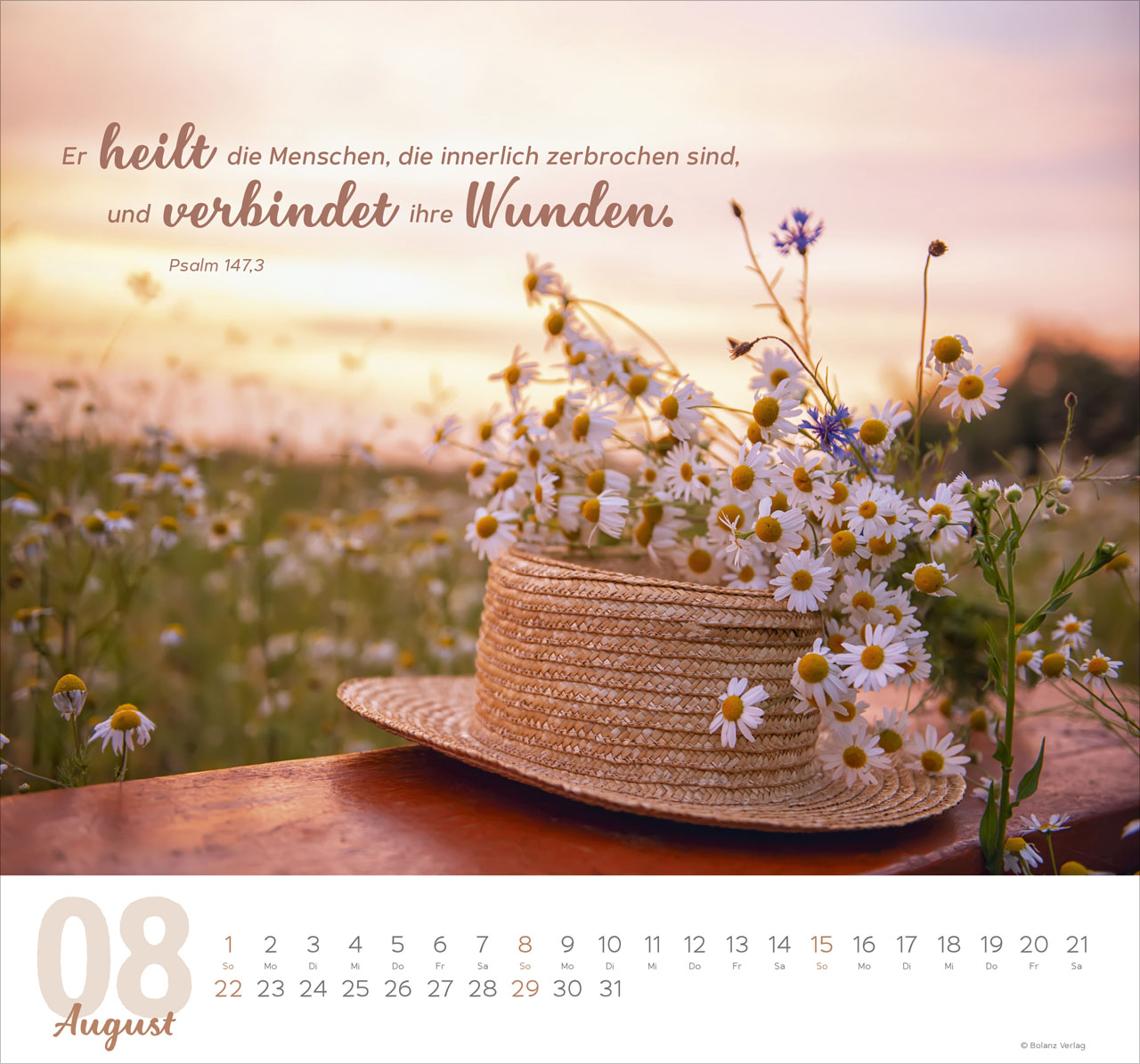 Meine Zeit 2027 – Wandkalender