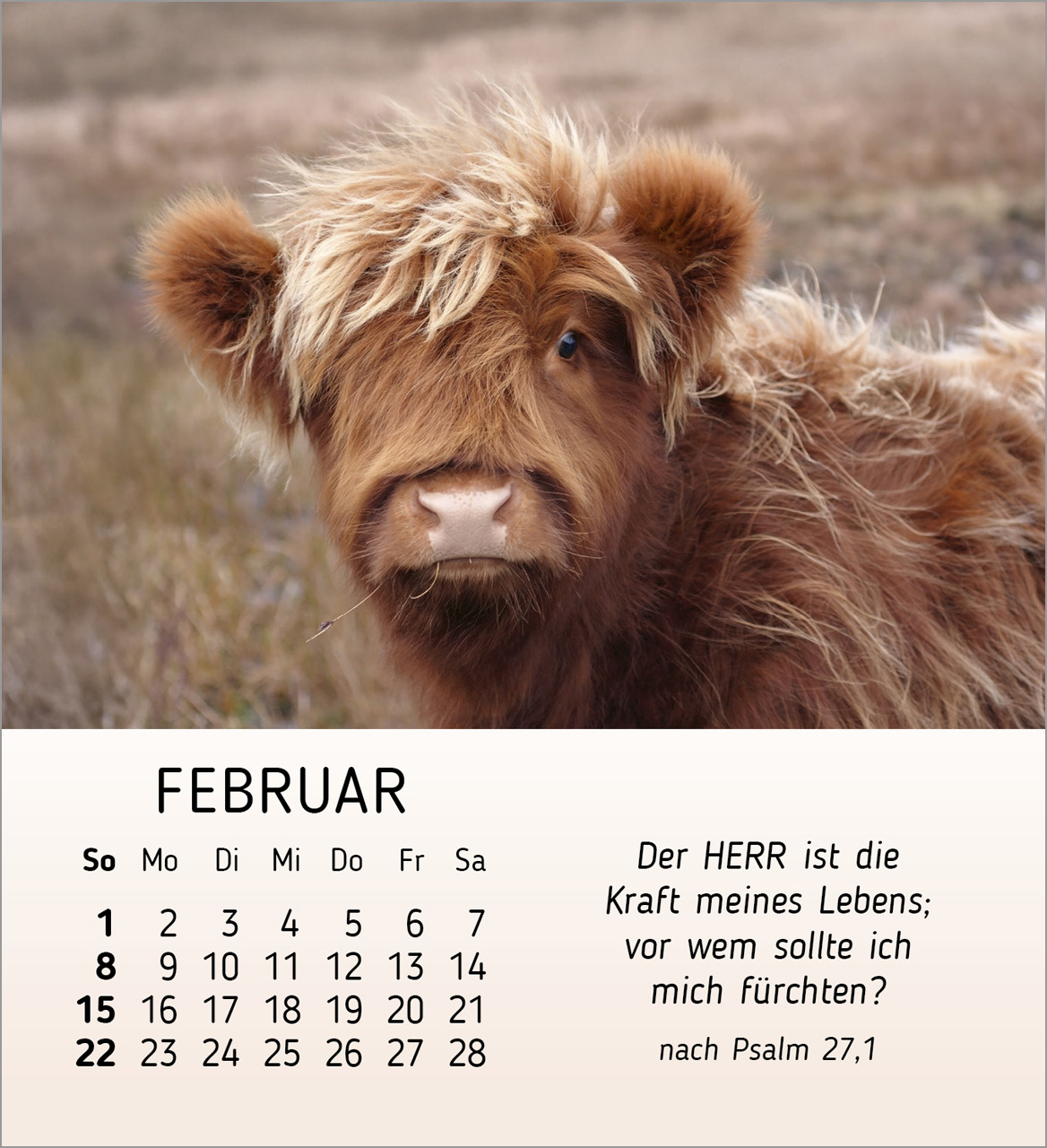 Meine kleinen Freunde 2026 - Tischkalender Meine kleinen Freunde 2026 - Tischkalender