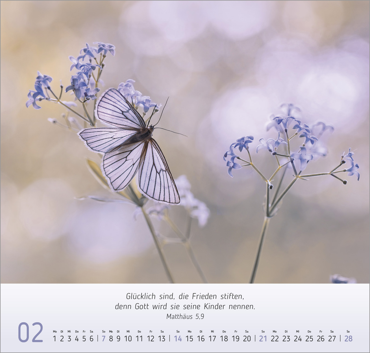 Gesichter der Natur 2027 – Wandkalender