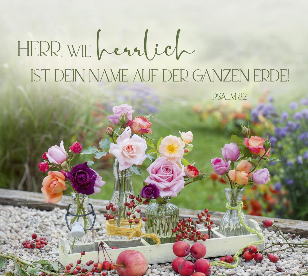 Aufstellbuch - Im Garten zuhause