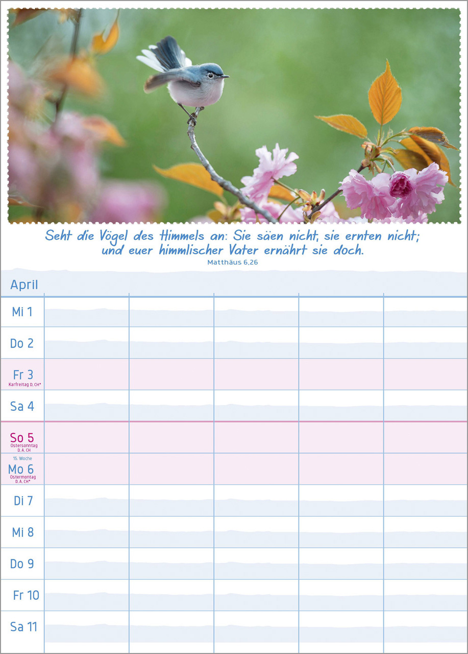 Multiplaner 2026 - Terminplaner Multiplaner 2026 - Terminplaner