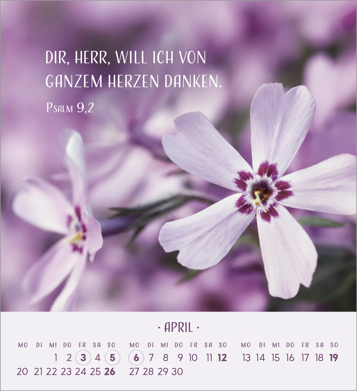 Zarte Blumengrüße Tischkalender 2026