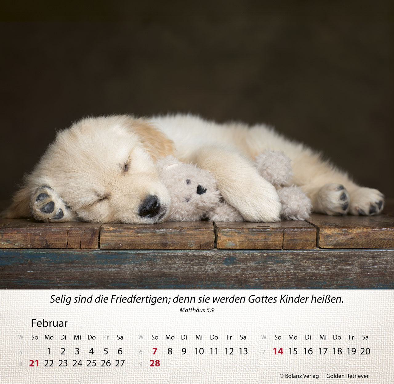 Hunde 2027 – Tischkalender