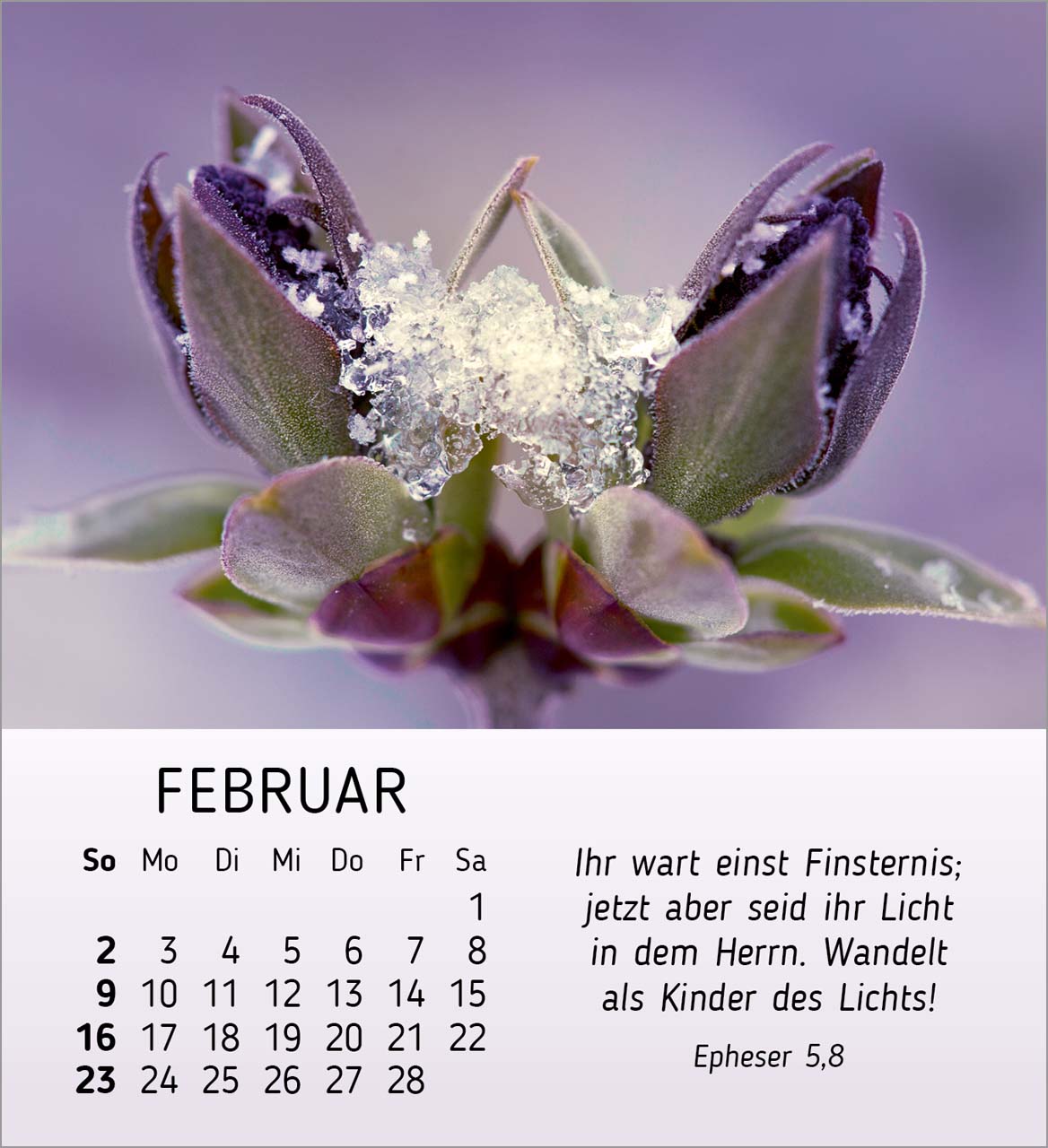 Stille Begegnungen Tischkalender