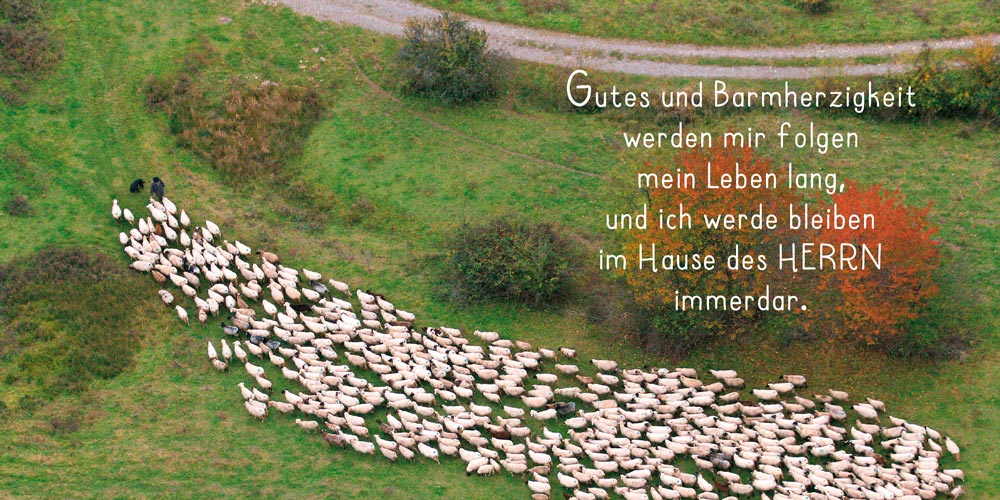 Grußheft - Du hältst mich fest