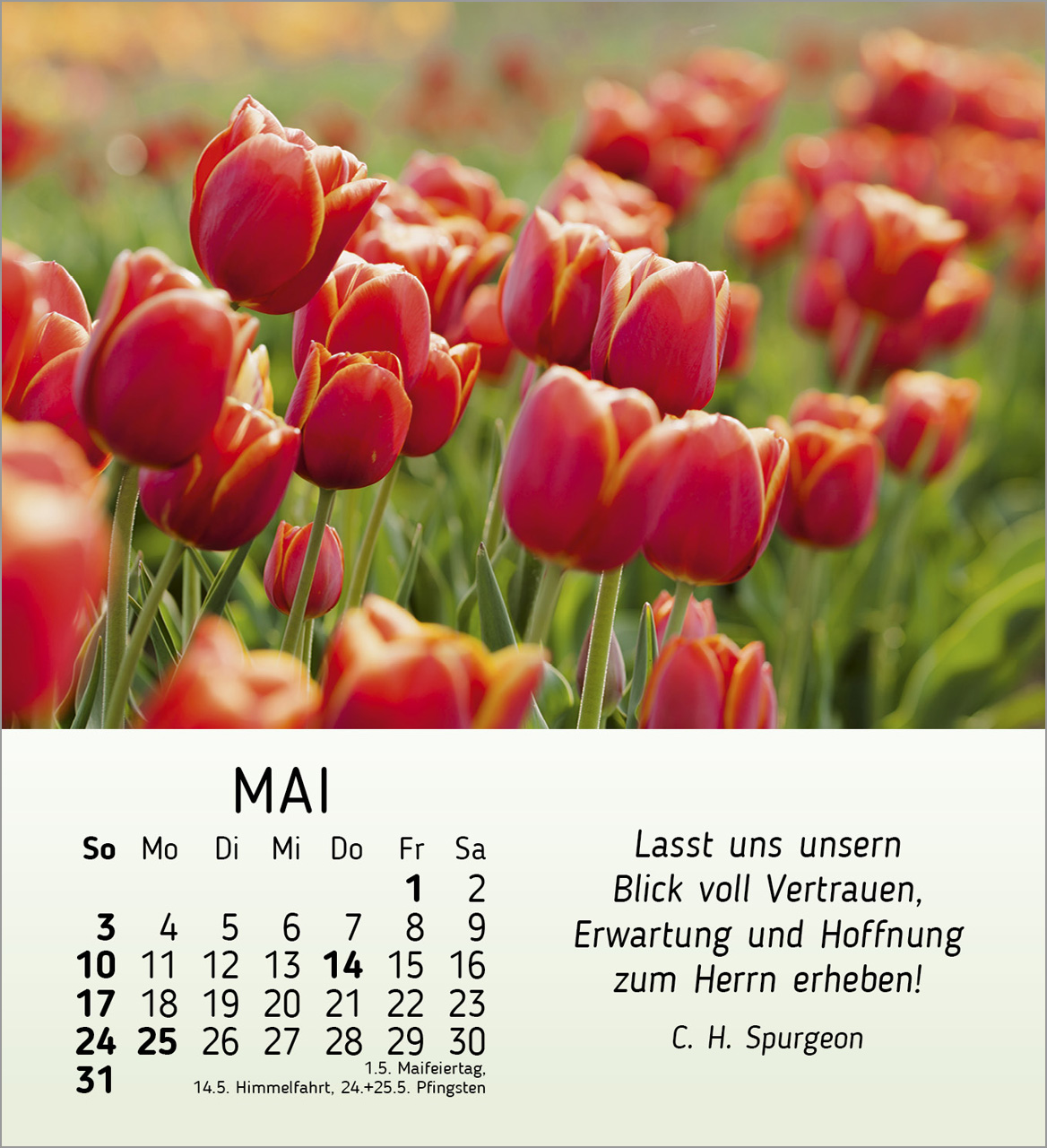 Ich wünsche dir Freude Tischkalender 2026