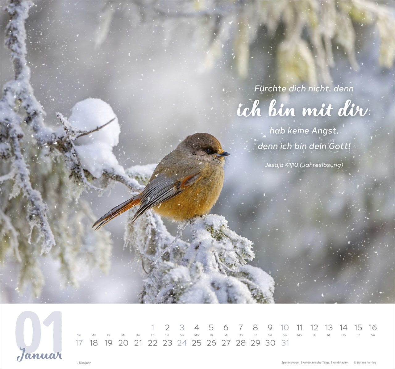 Meine Zeit 2027 – Wandkalender