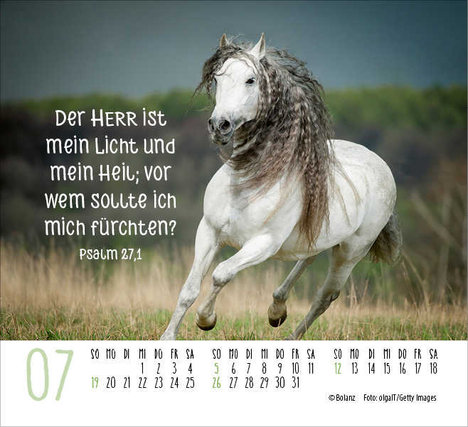 Pferde - elegante Schönheiten - Minikalender 2026 Pferde - elegante Schönheiten - Minikalender 2026