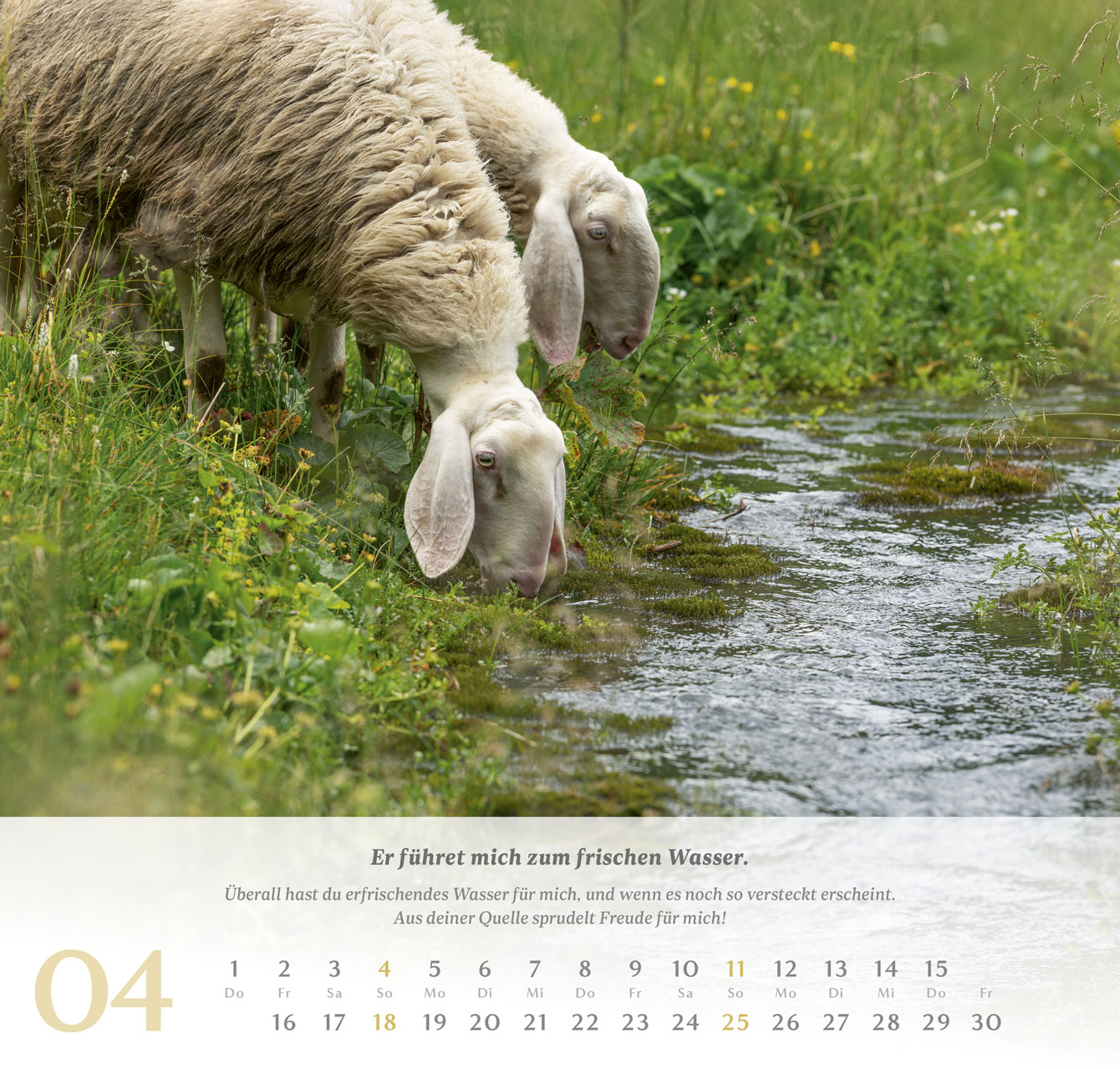 Psalm 23 – 2027 –  Wandkalender