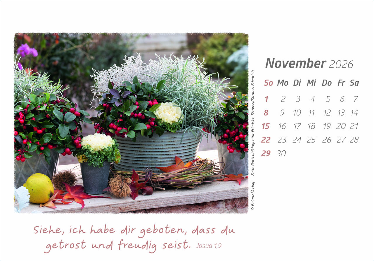 Die Güte Gottes preisen 2026 - Tischkalender