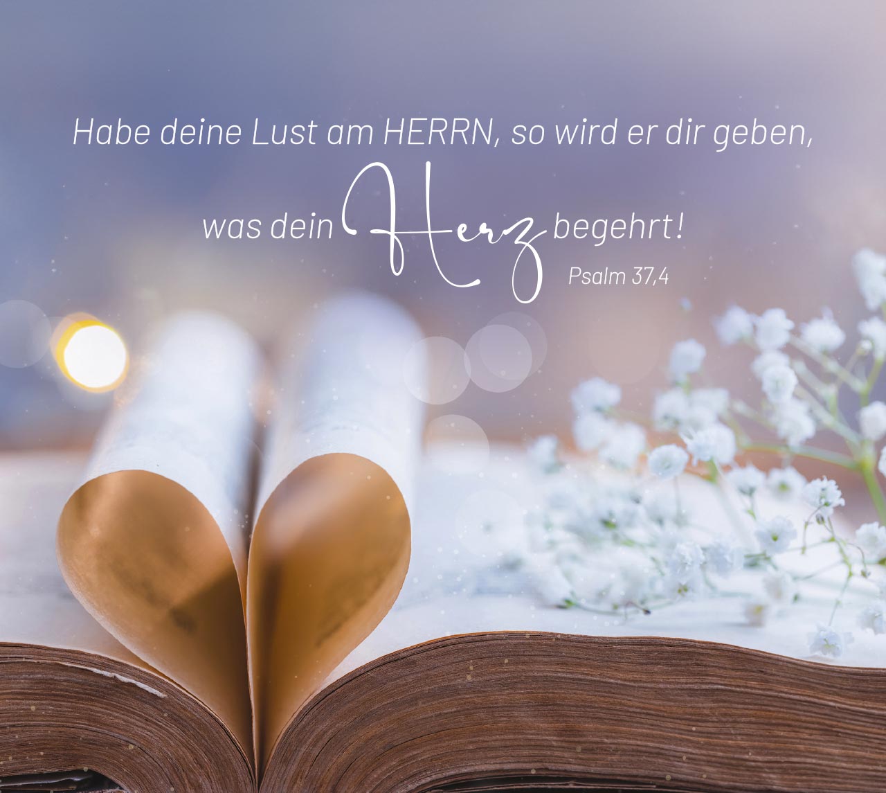 Aufstellbuch Geborgen in Gottes Hand