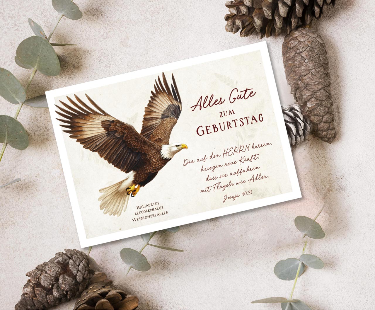 Postkarte Geburtstag Adler