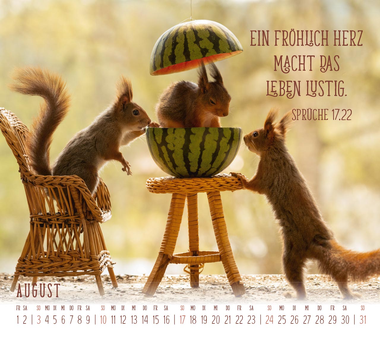 Du sorgst für mich - Eichhörnchen Kalender