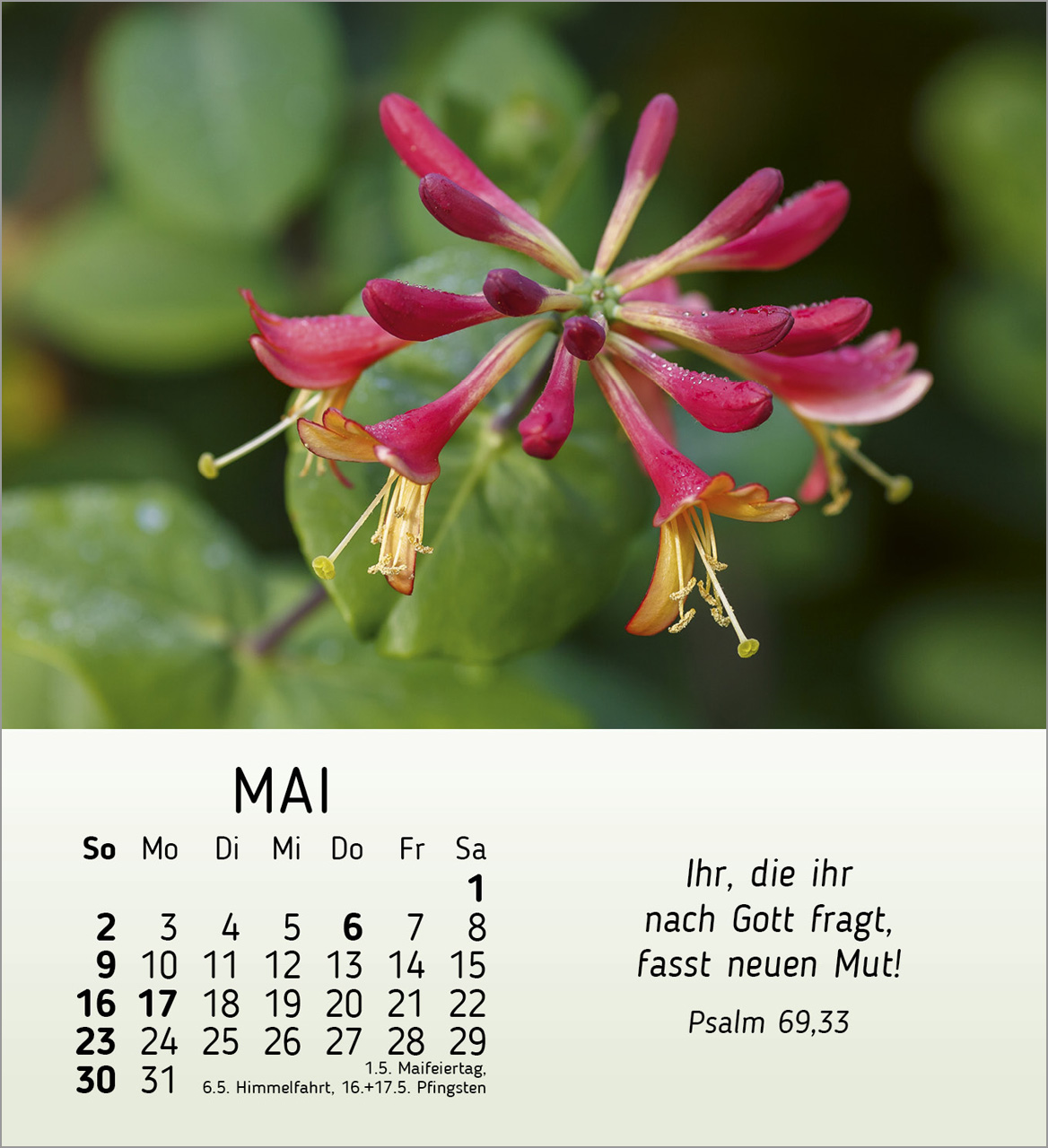 Ich wünsche dir Freude 2027 – Tischkalender