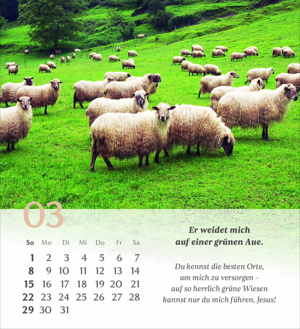 Psalm 23 Tischkalender 2026
