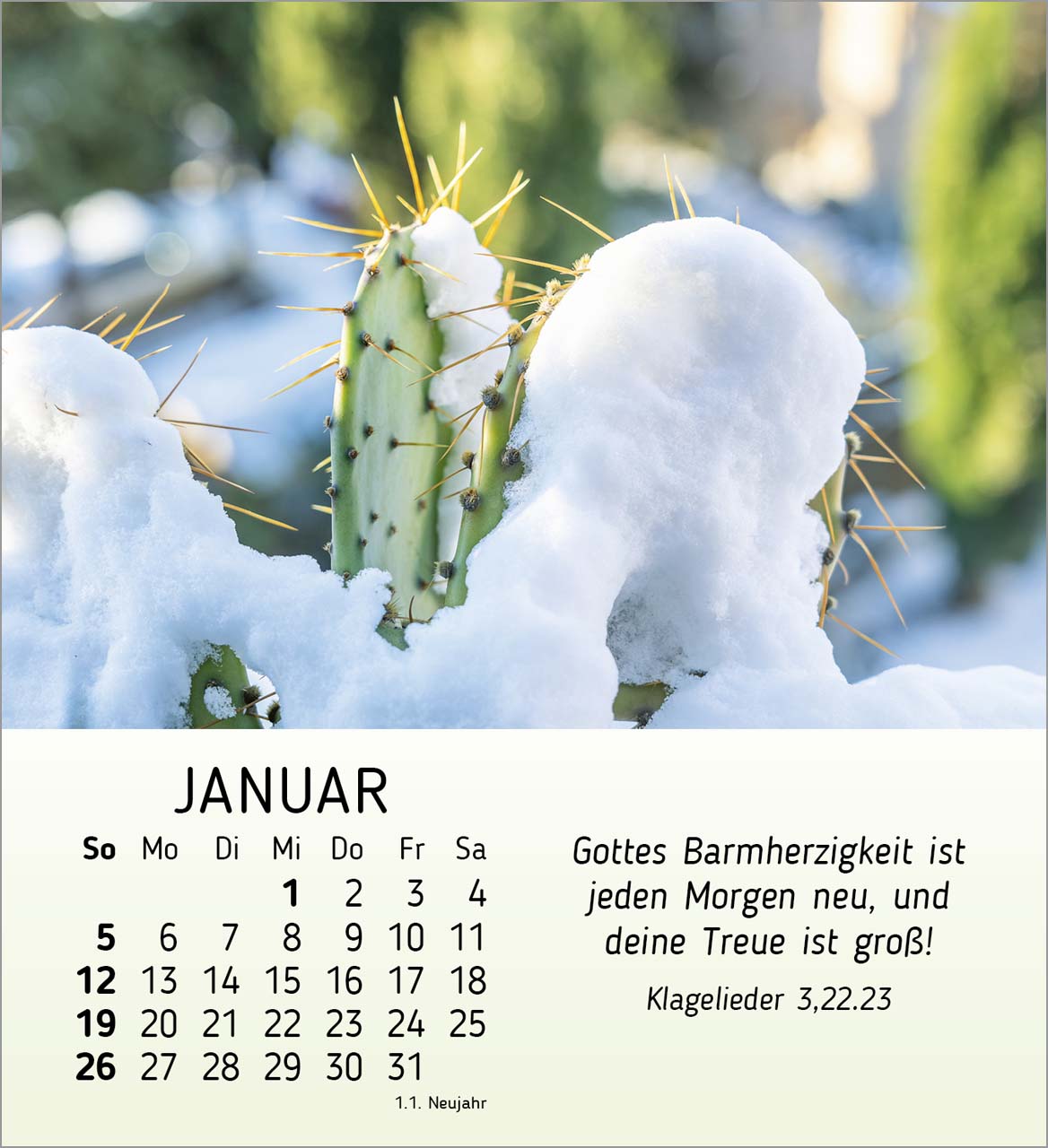 Stille Begegnungen Tischkalender