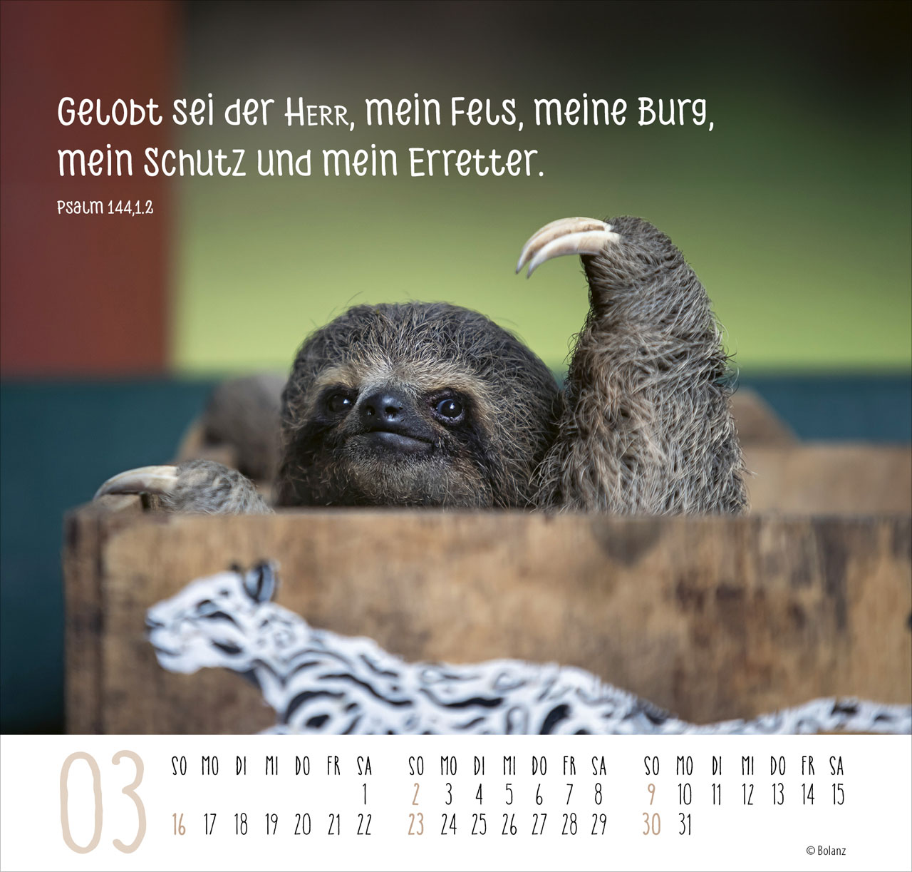 Beste Freunde - Ich mag dich 2025 - Posterkalender