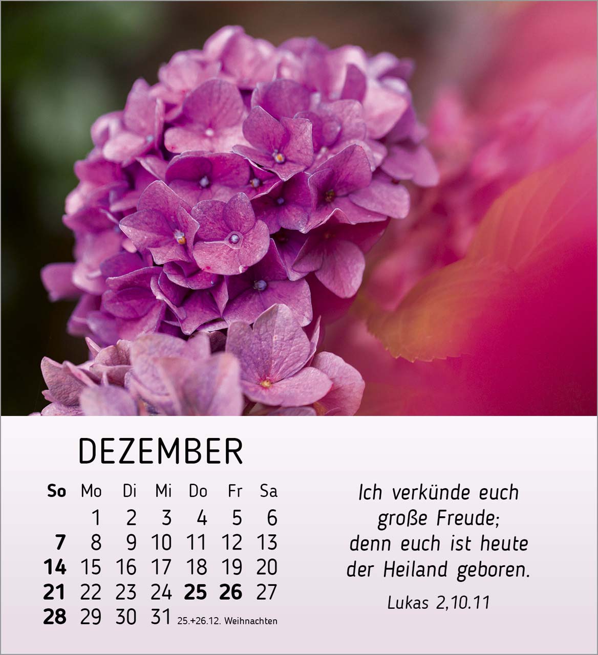 Ich wünsche dir Freude Tischkalender