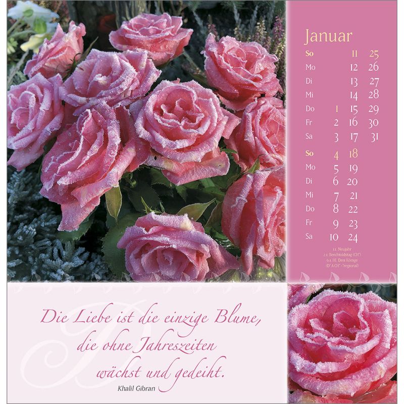 Rosenduft mit guten Wünschen 2026