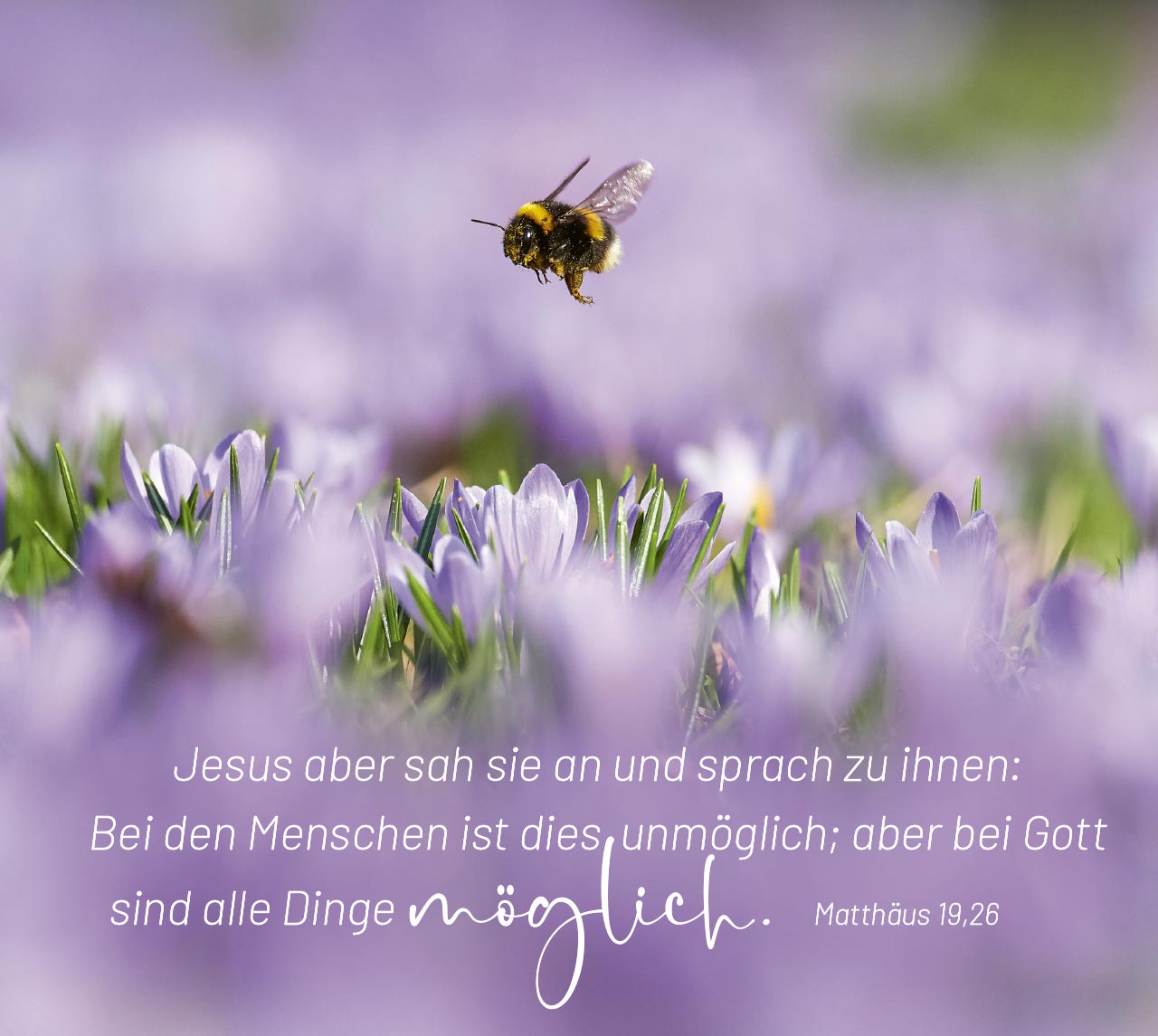 Aufstellbuch Geborgen in Gottes Hand