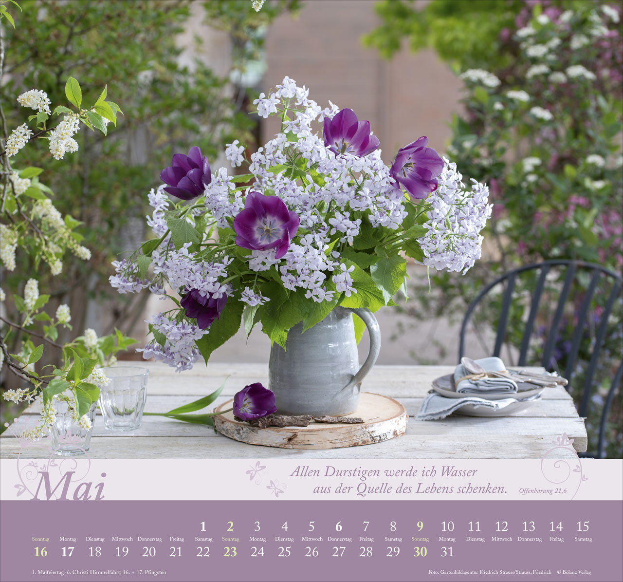 Im Garten zuhause 2027 – Wandkalender