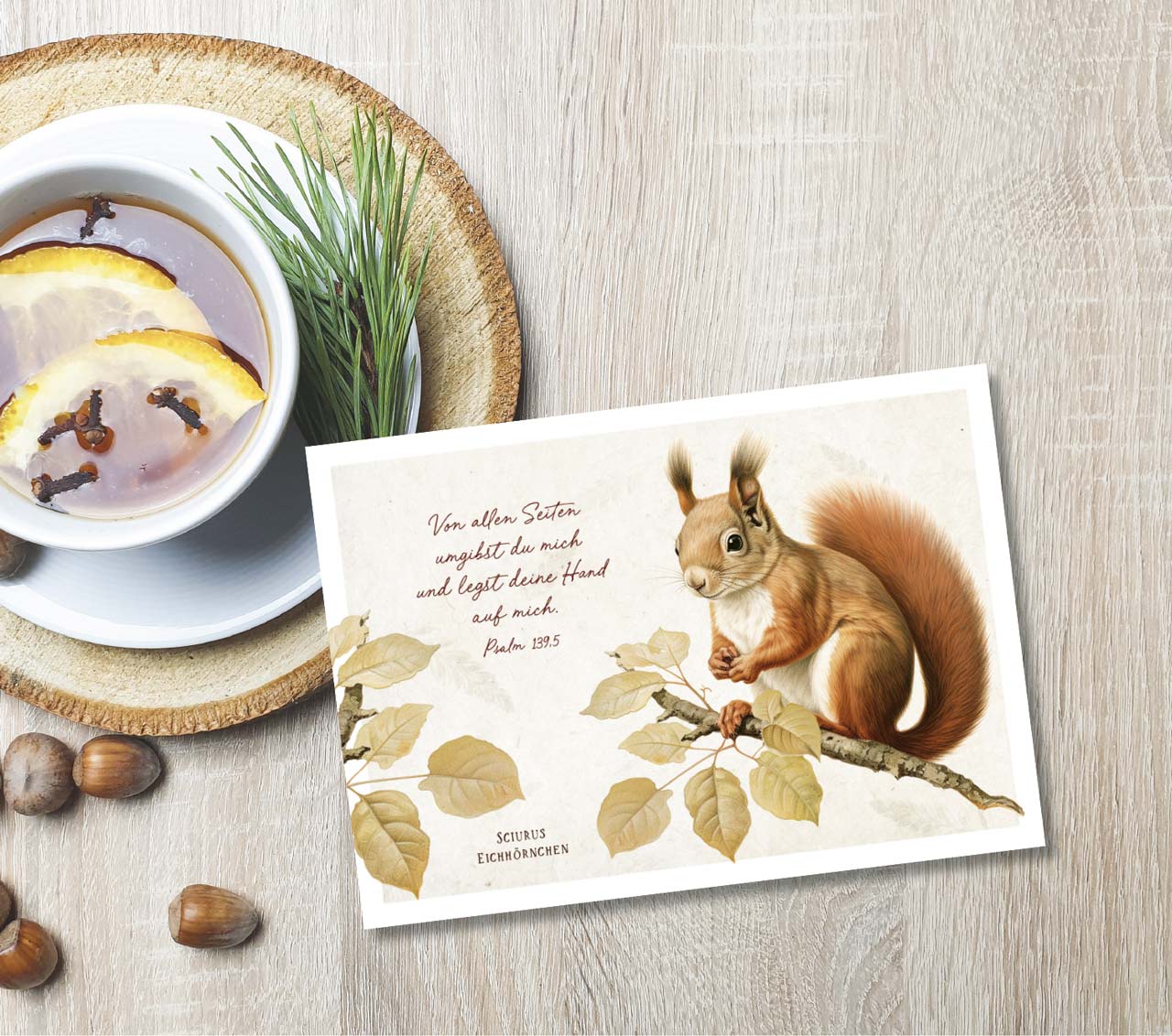Postkarte niedliches Eichhörnchen