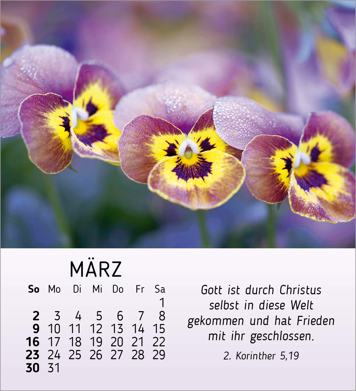 Ich wünsche dir Freude Tischkalender