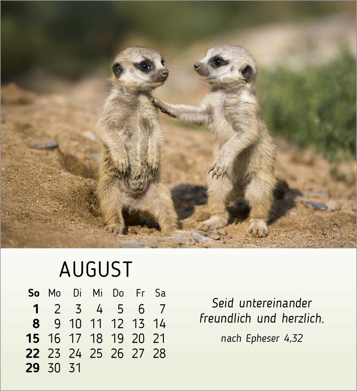 Meine kleinen Freunde 2027 – Tischkalender